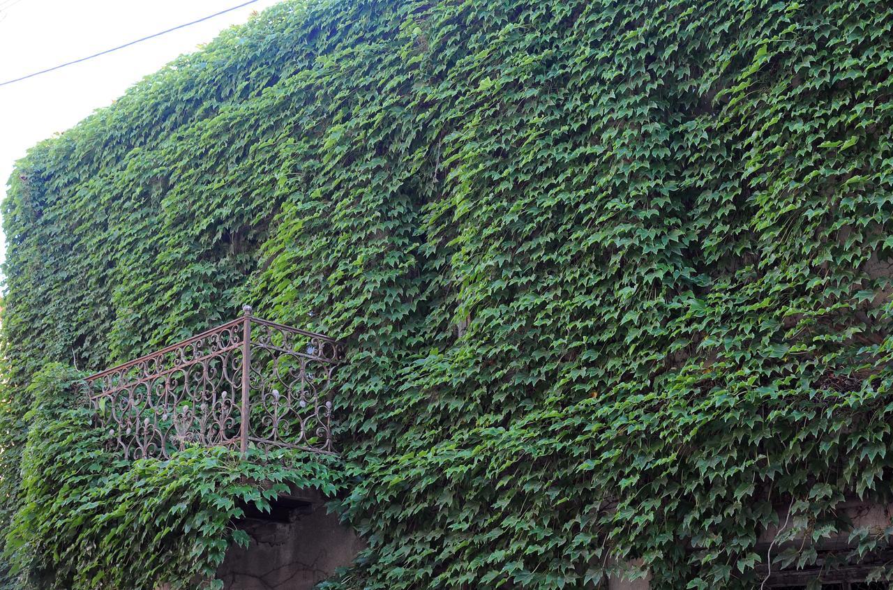 Old Walls 1 Tiflis Dış mekan fotoğraf